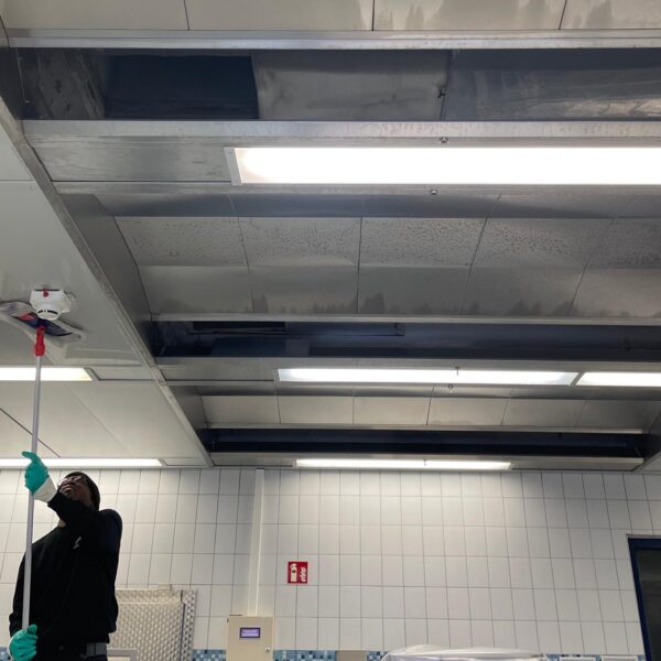 Reinigung einer Küchenabluftdecke