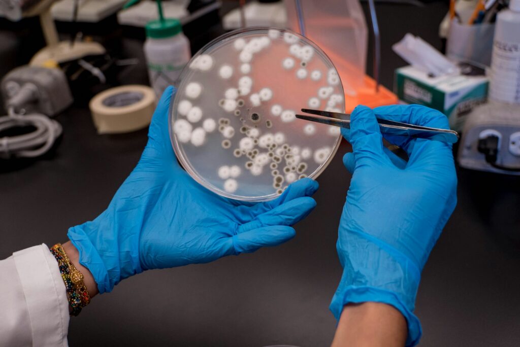 Schimmelpilze entfernen durch Air-Tex GmbH