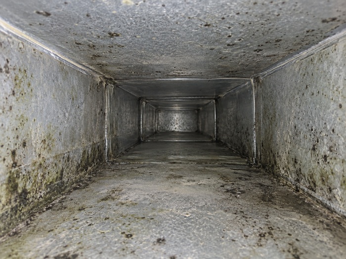 Schimmel im Lüftungskanal