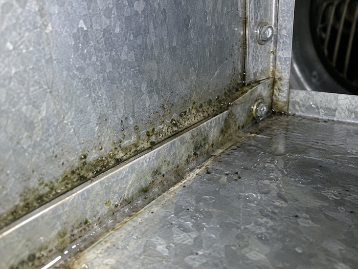 Schimmel in der Lüftungsanlage vermeiden